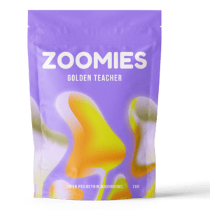 Golden Teacher | Where To Buy Shrooms Canada