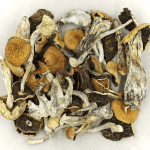 Full Moon Party | Where To Buy Shrooms Canada