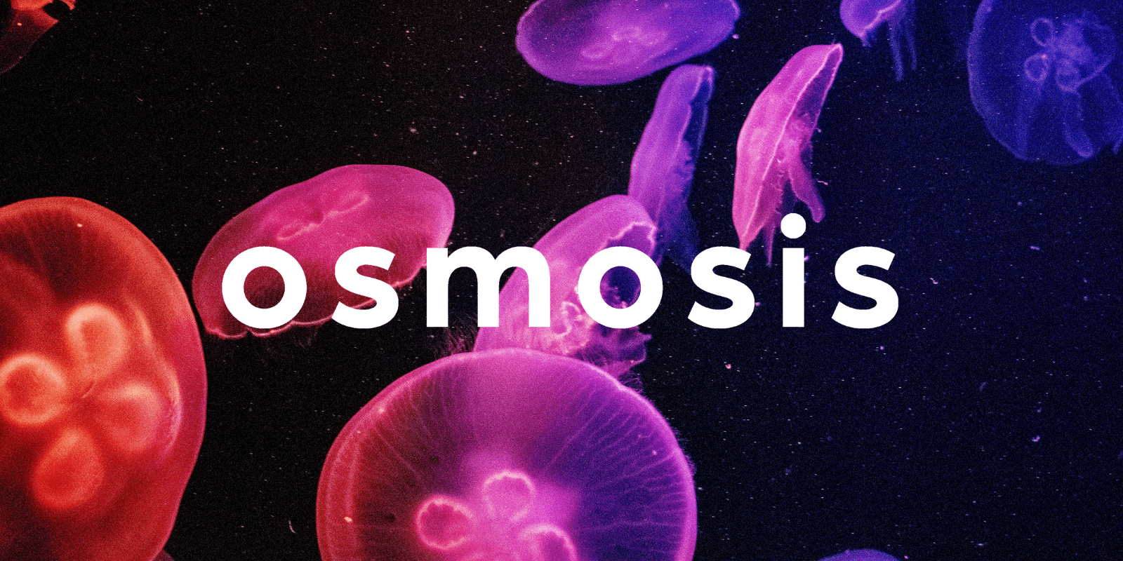 Zoomies osmosis banner | Where To Buy Shrooms Canada