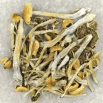 Trinity | Where To Buy Shrooms Canada