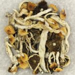 Cuban | Where To Buy Shrooms Canada