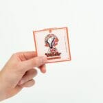 Wonder – Psilocybin Chocolate Bar – Blood Orange | Where To Buy Shrooms Canada