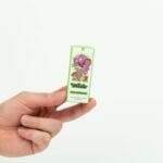 Wonder – Psilocybin Chocolate Bar – Dark Chocolate | Where To Buy Shrooms Canada