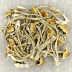 Hautla | Where To Buy Shrooms Canada