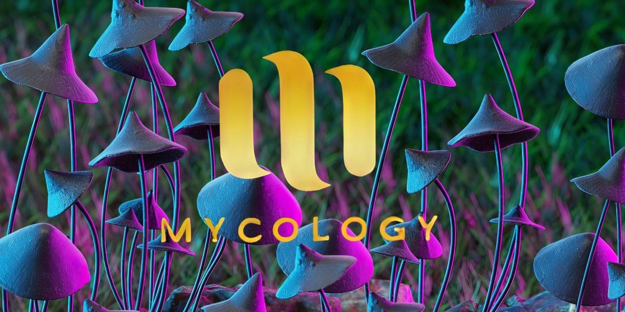 Zoomies Summer 2023 Banner - Mycology | Where To Buy Shrooms Canada