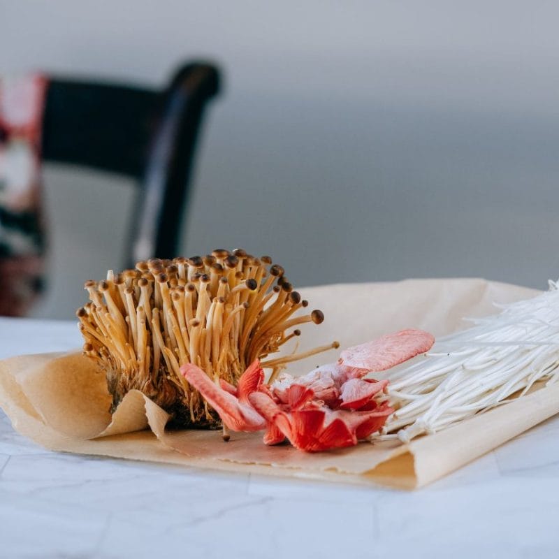Buy Shrooms Online Canada (1) | Where To Buy Shrooms Canada