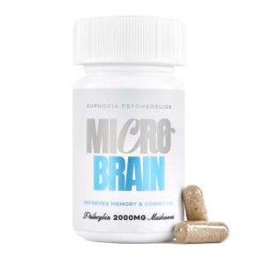 Euphoria Psychedelics – Micro Brain Capsules - (100mg X 20 Capsules) | Where To Buy Shrooms Canada