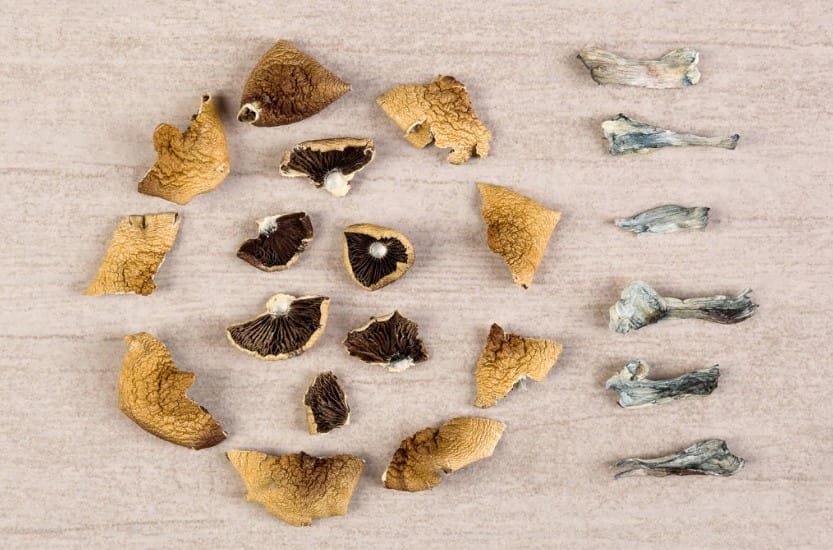 The Unforeseen Link Between Psychedelics and Enhanced Sex Magic mushroom Canada