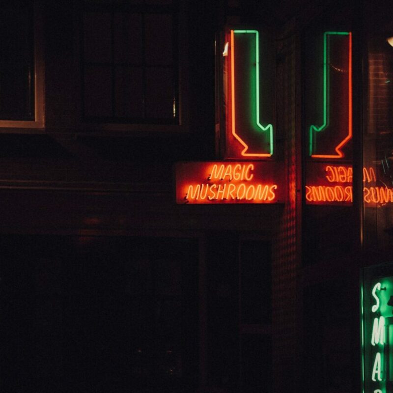 Mushroom Dispensary Vancouver | Where To Buy Shrooms Canada
